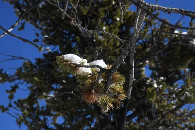 DSC_4917 (Large).JPG